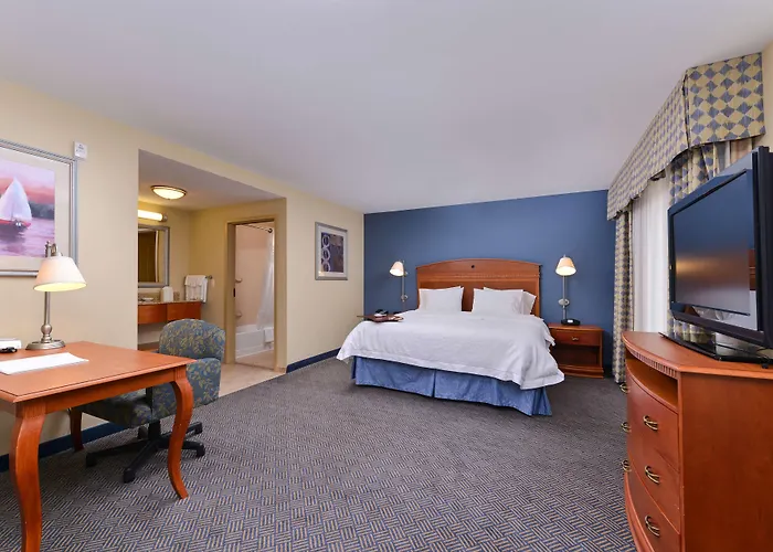 Hotel Hampton 3*