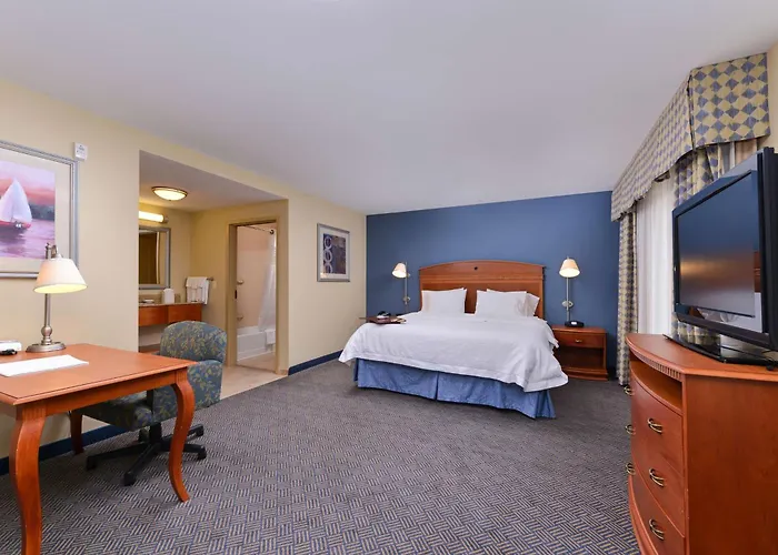 Hotel Hampton 3*