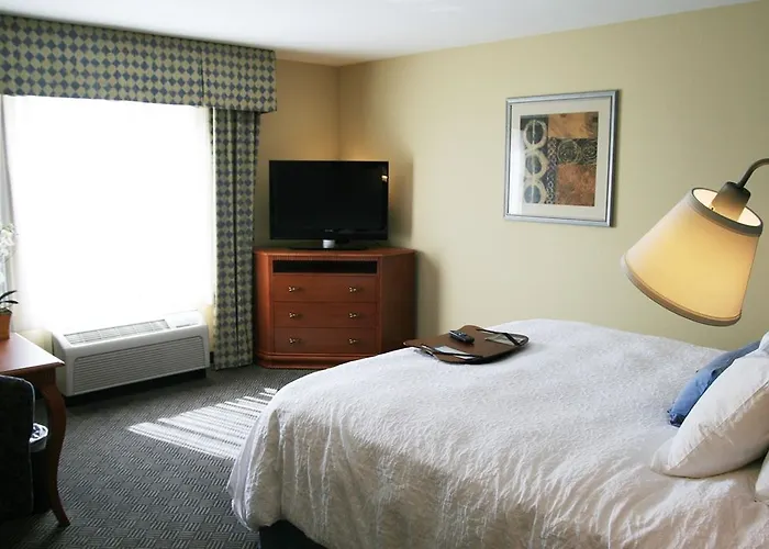 Hampton Hotel 3*